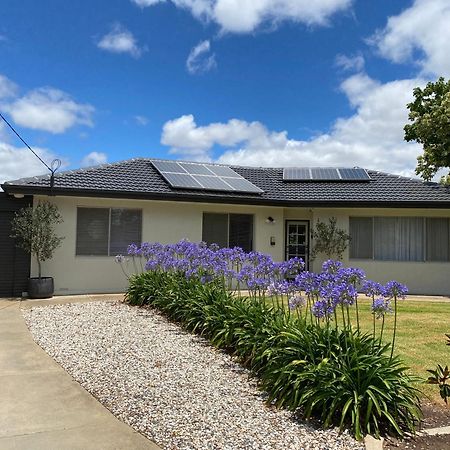 Para House, Tanunda. In The Heart Of The Barossa Valley!. Villa Exterior foto